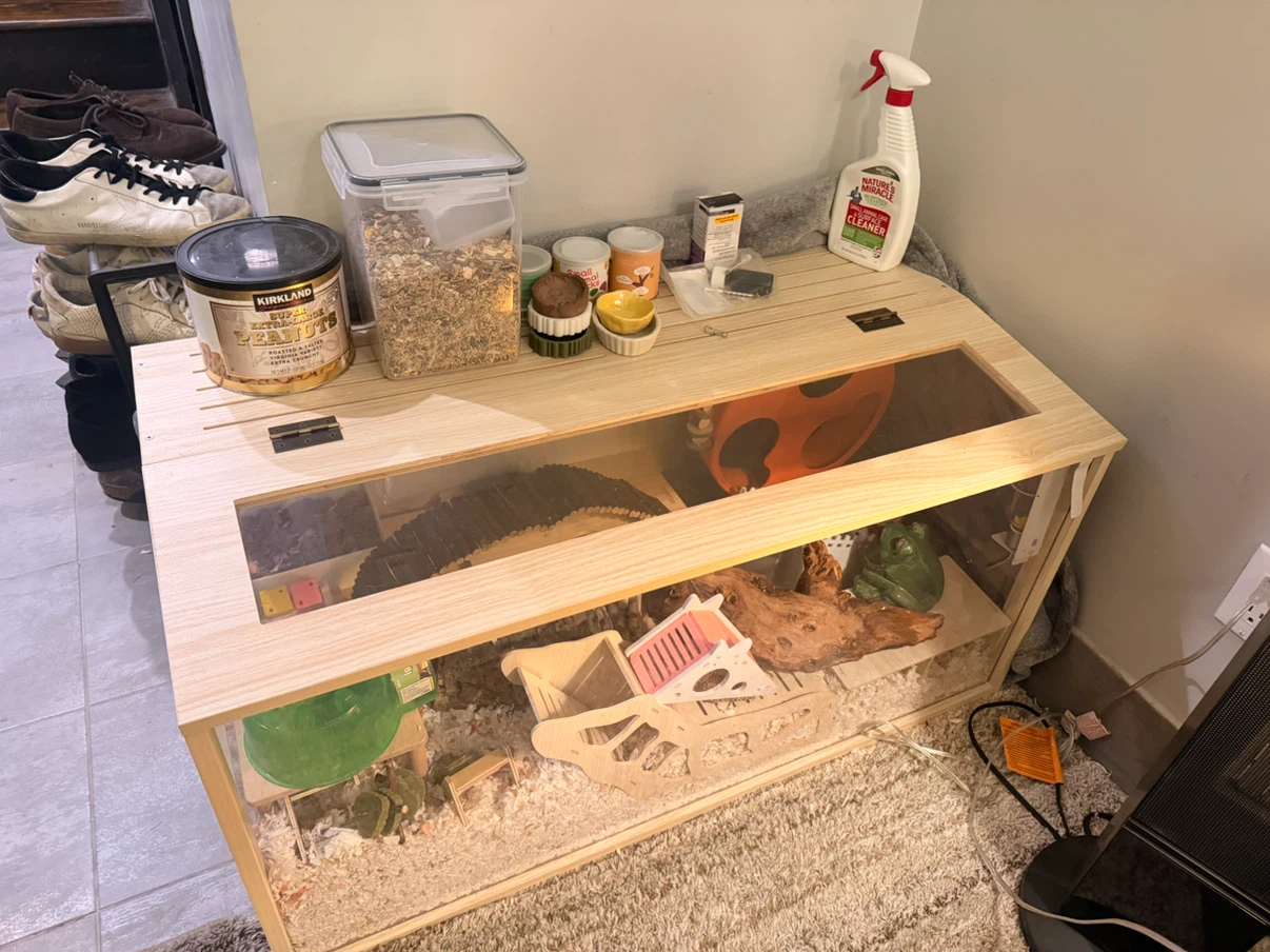 Complete hamster set up