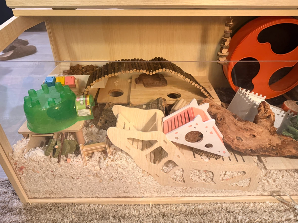 Complete hamster set up - photo 4