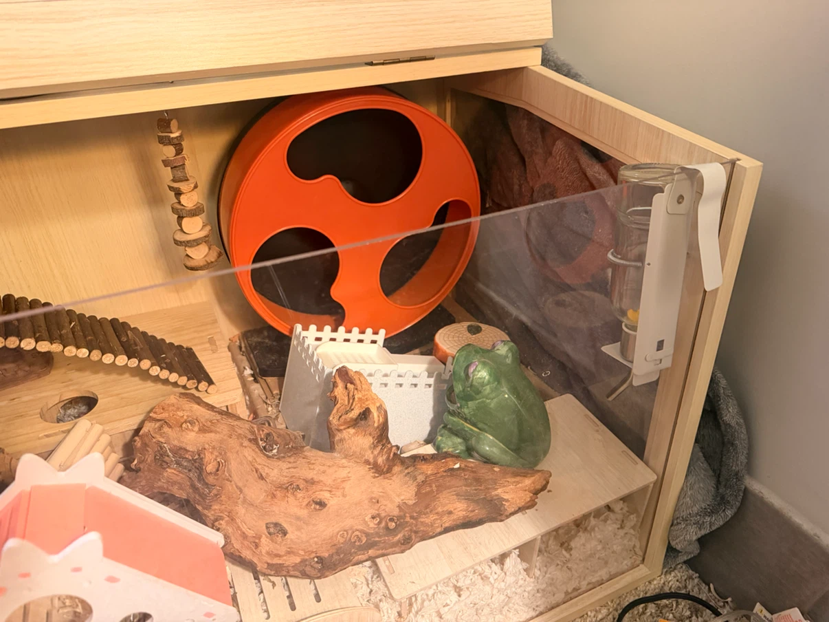 Complete hamster set up - photo 5