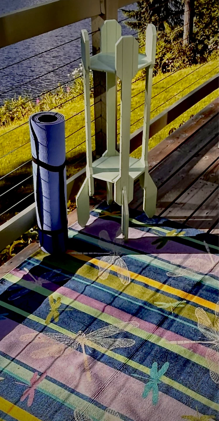 Area rug indoor/outdoor with Dragonflies - photo 3