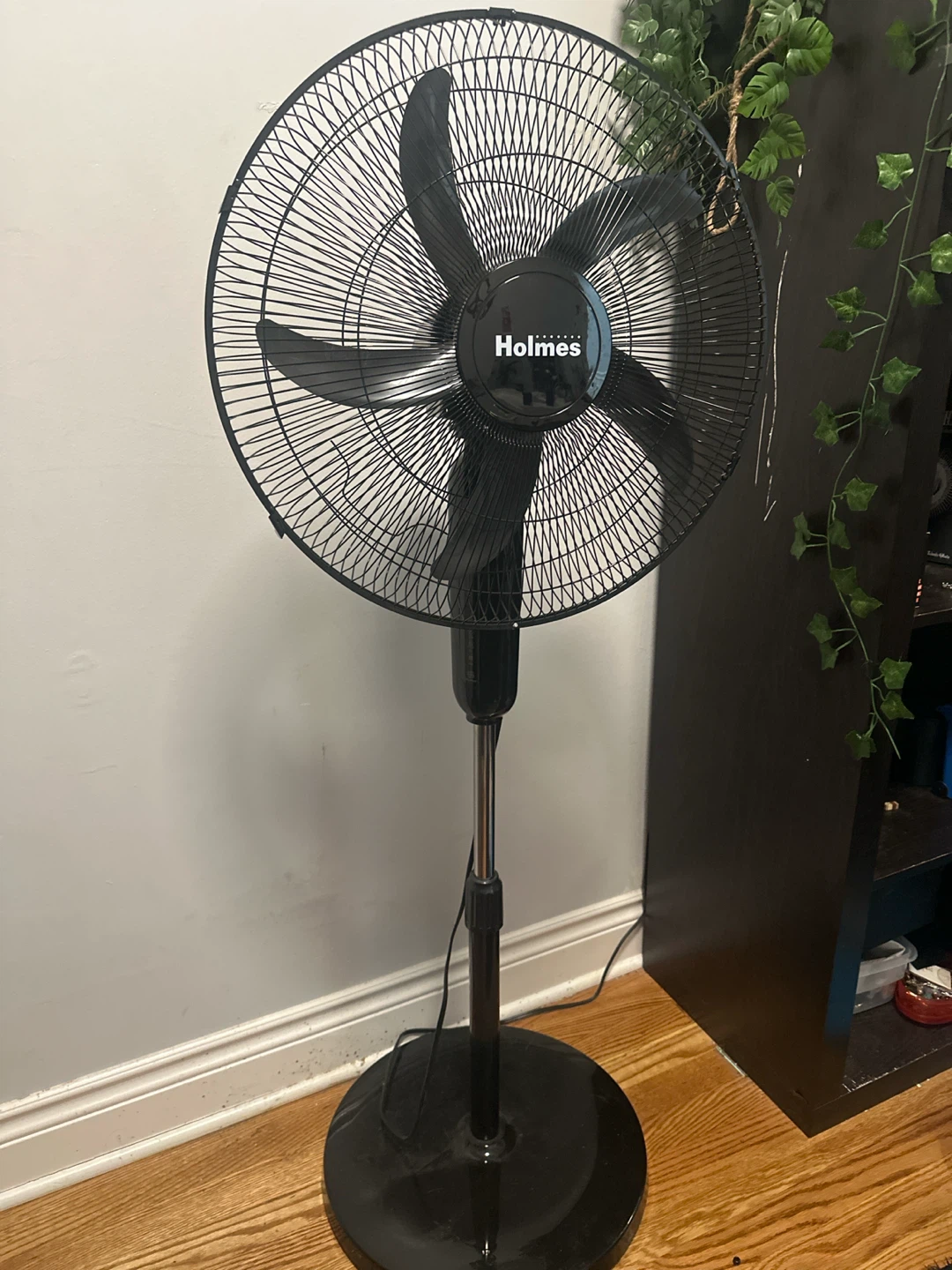 Holmes Stand Fan