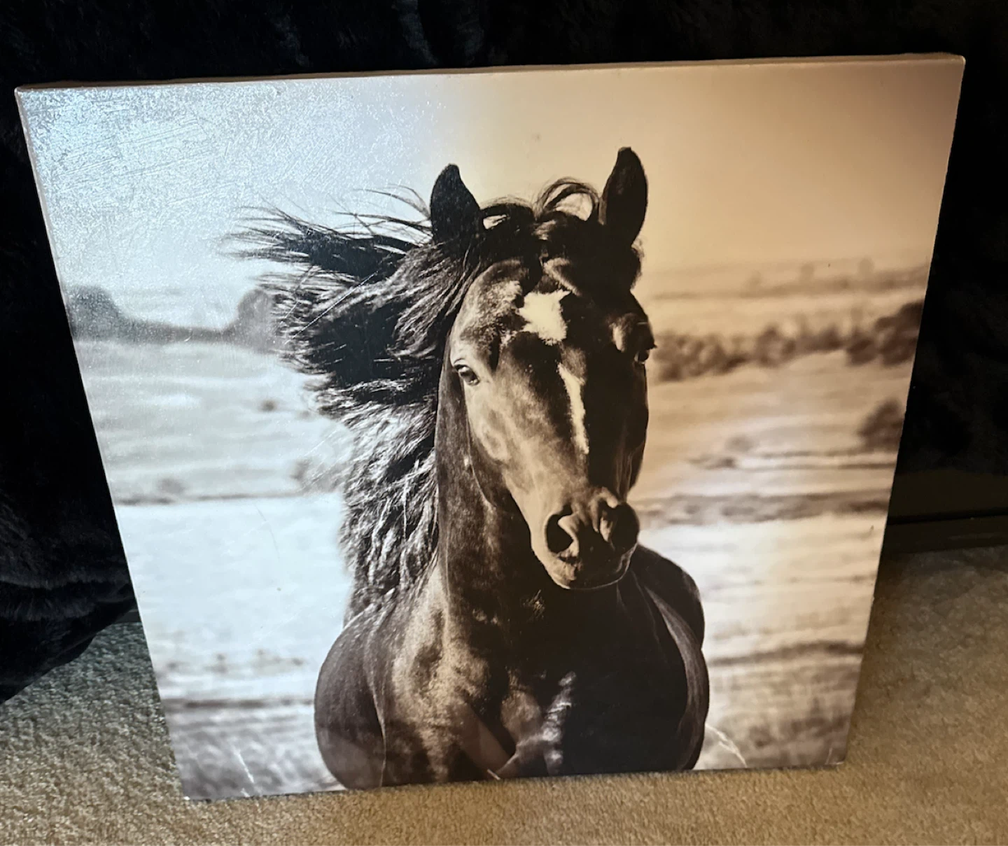 Canvas Wall Art - Horse Portrait