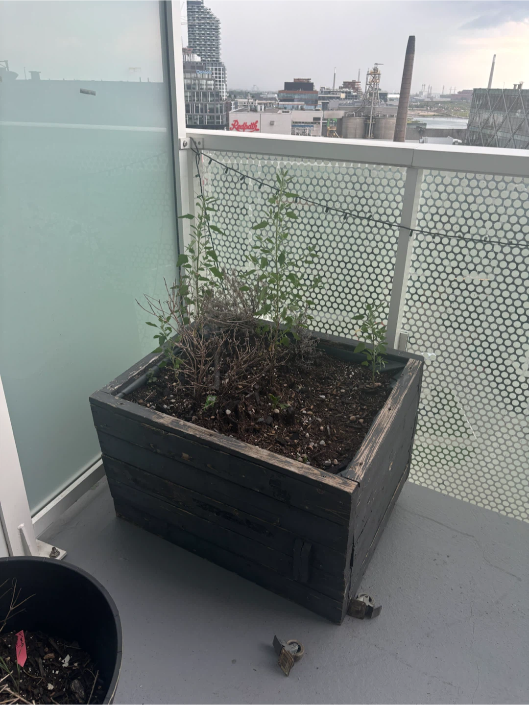 Wooden Planter Box with Hidden Storage