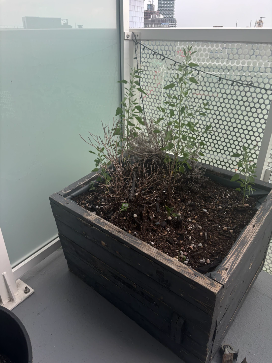 Wooden Planter Box with Hidden Storage - photo 3
