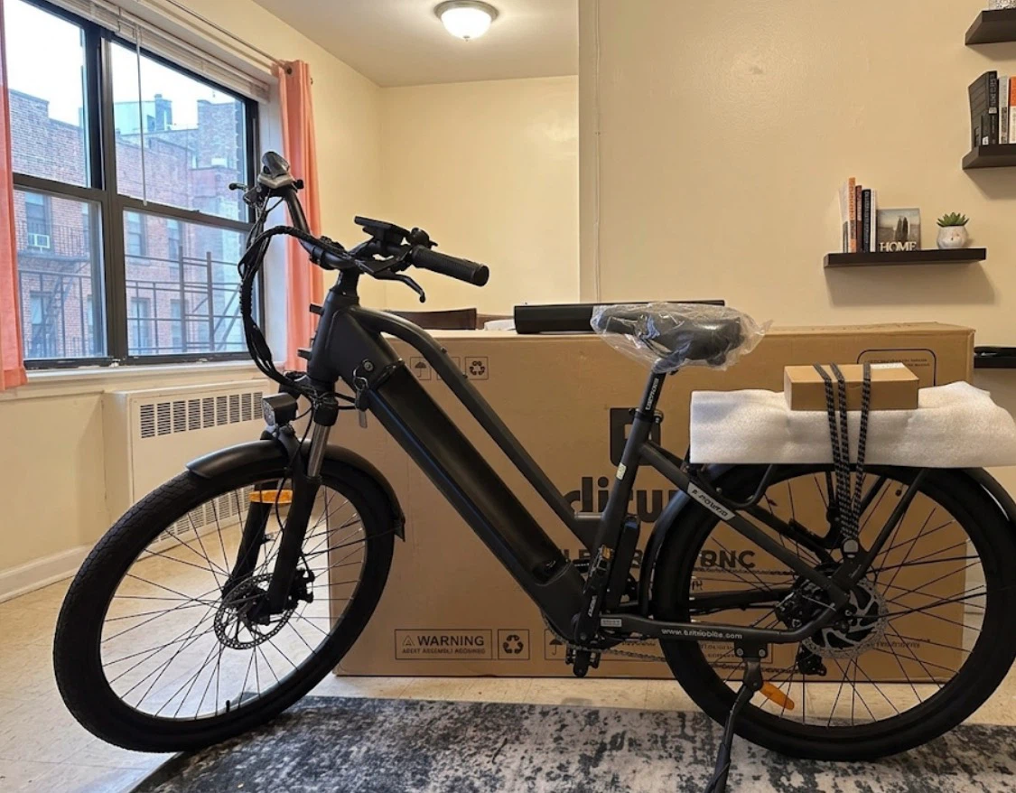 Dirwin Electric Bike new