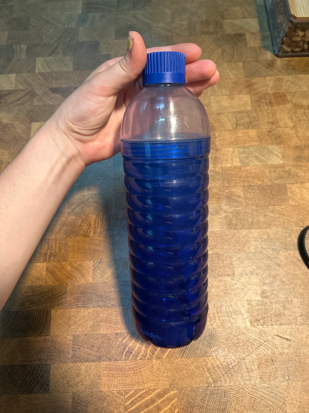 Aladdin 18oz Water Bottle