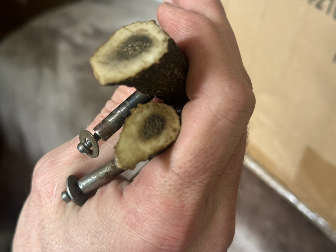 Antler Drawer Pulls - photo 3