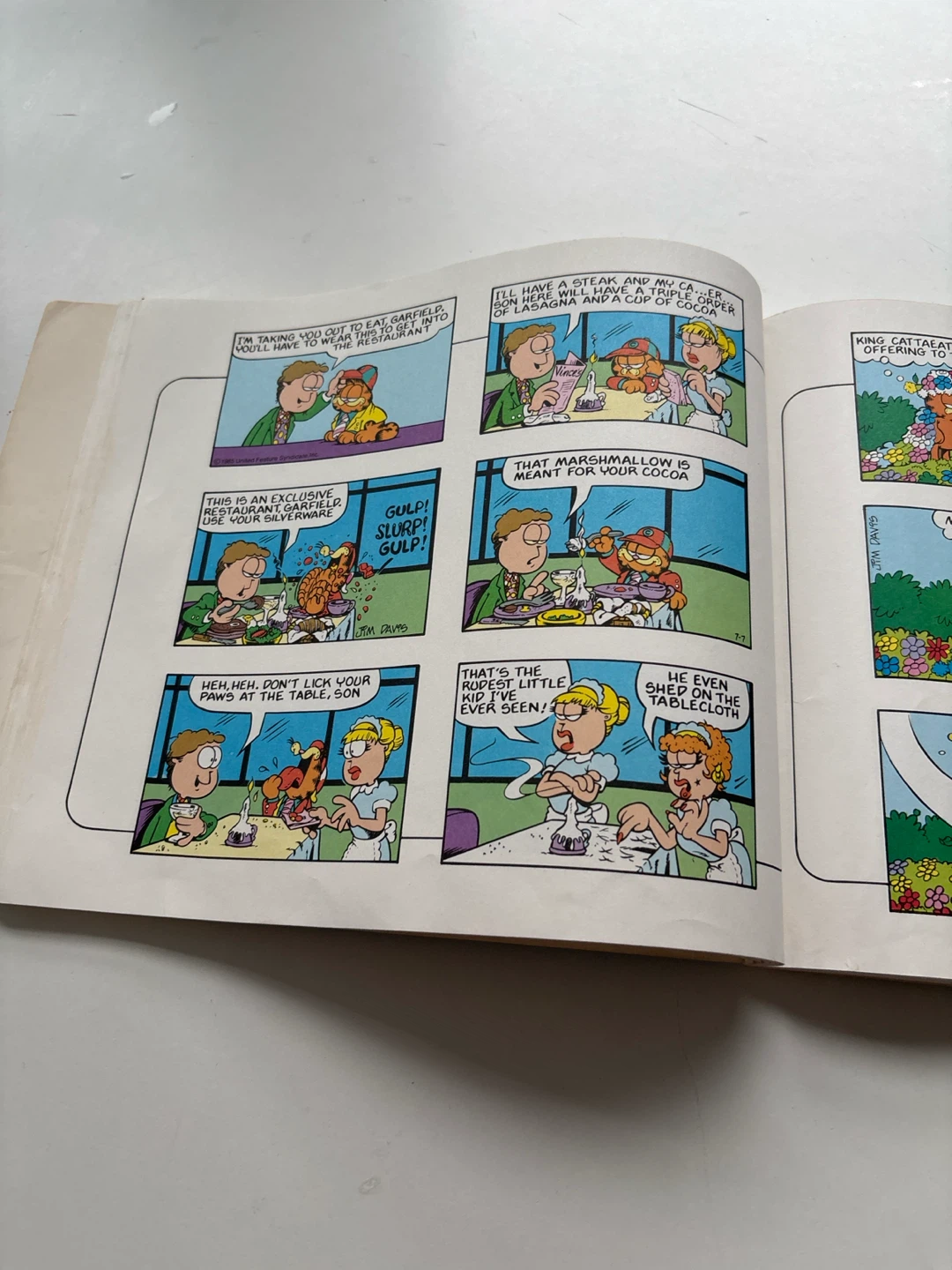 The 4th Garfield Treasury Comic Book - photo 3