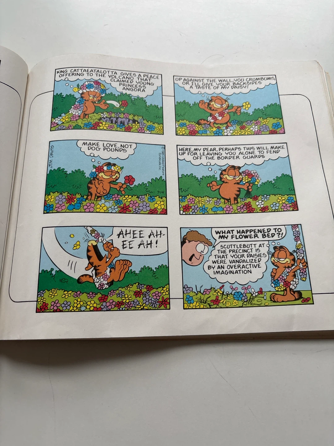 The 4th Garfield Treasury Comic Book - photo 4
