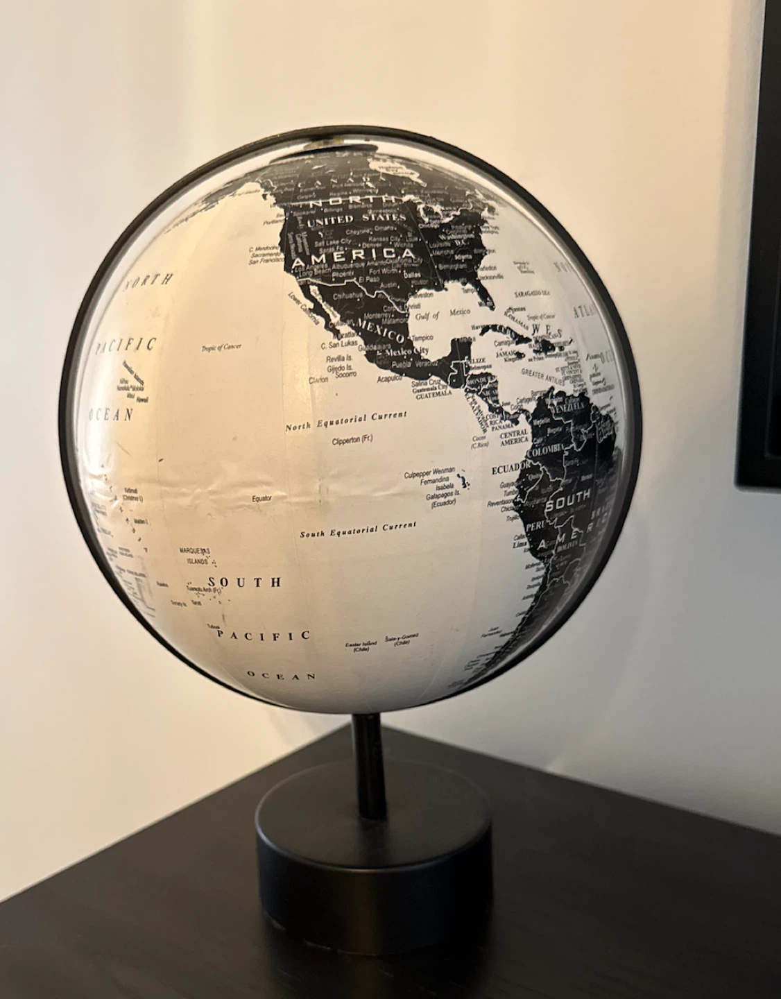 Black and White Globe
