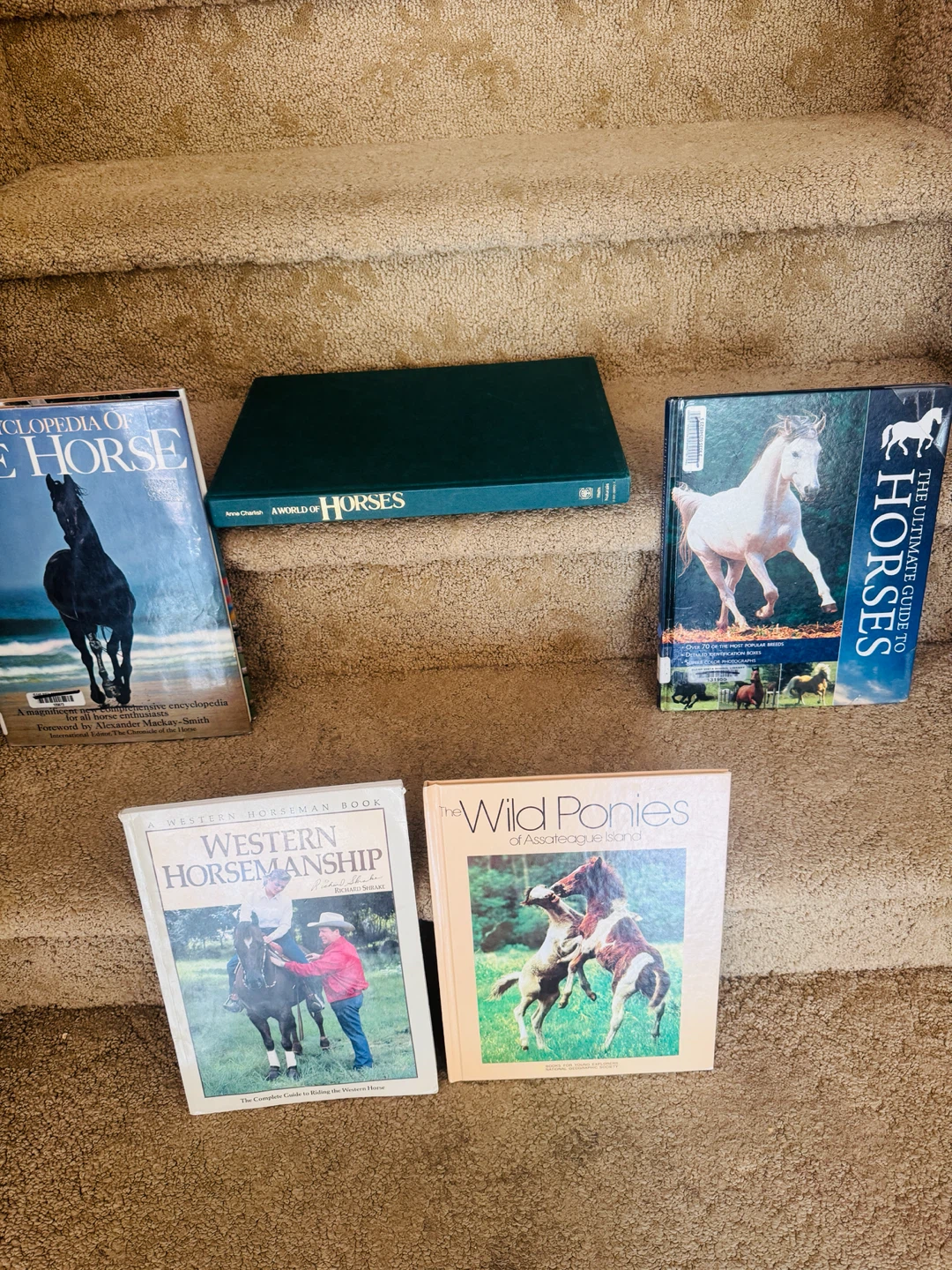 Collection of Horse Books