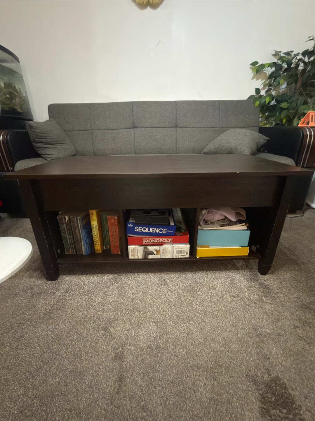 Lift Top Coffee Table with Storage