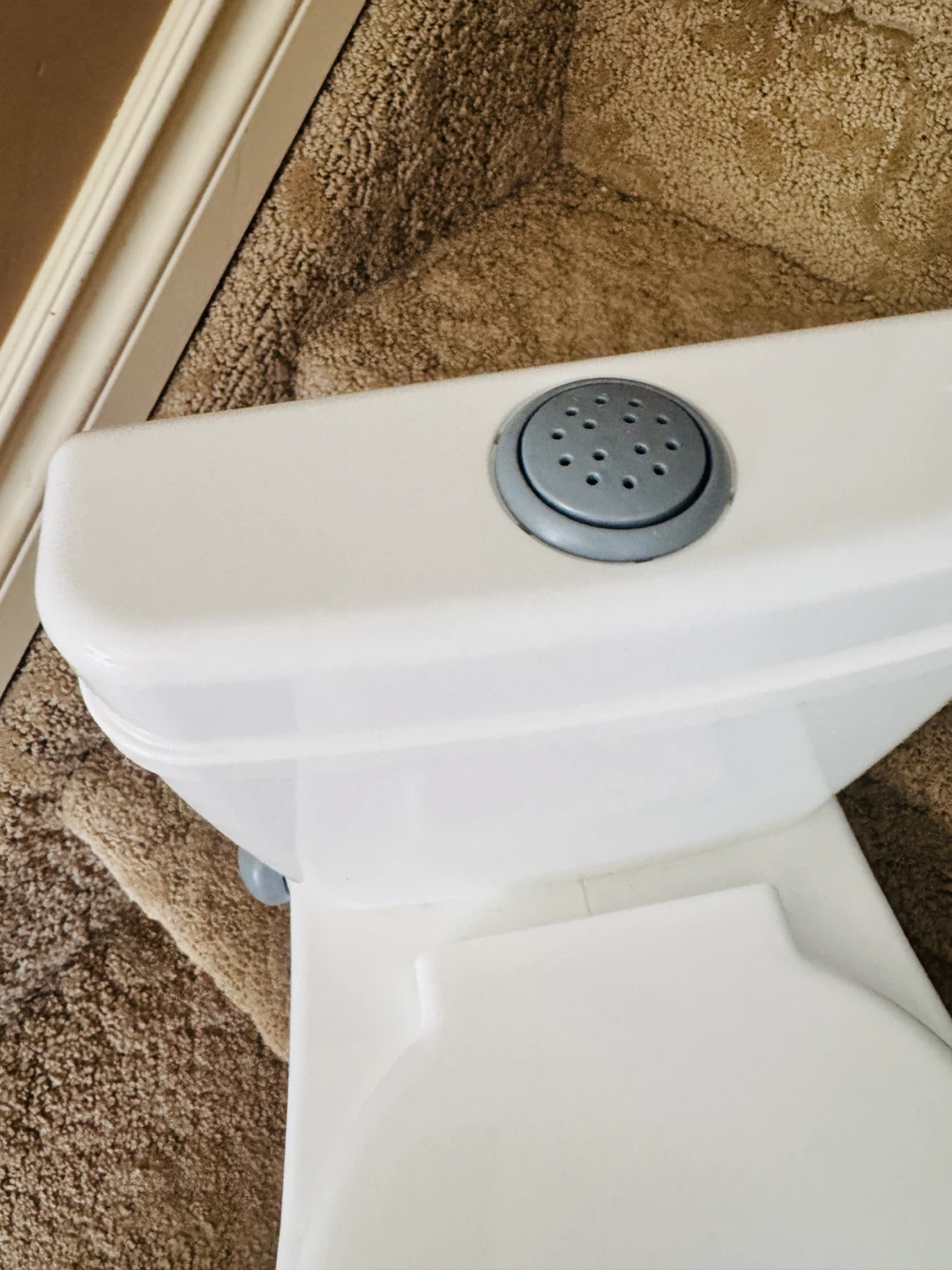 Toddler Potty Training Set - photo 3