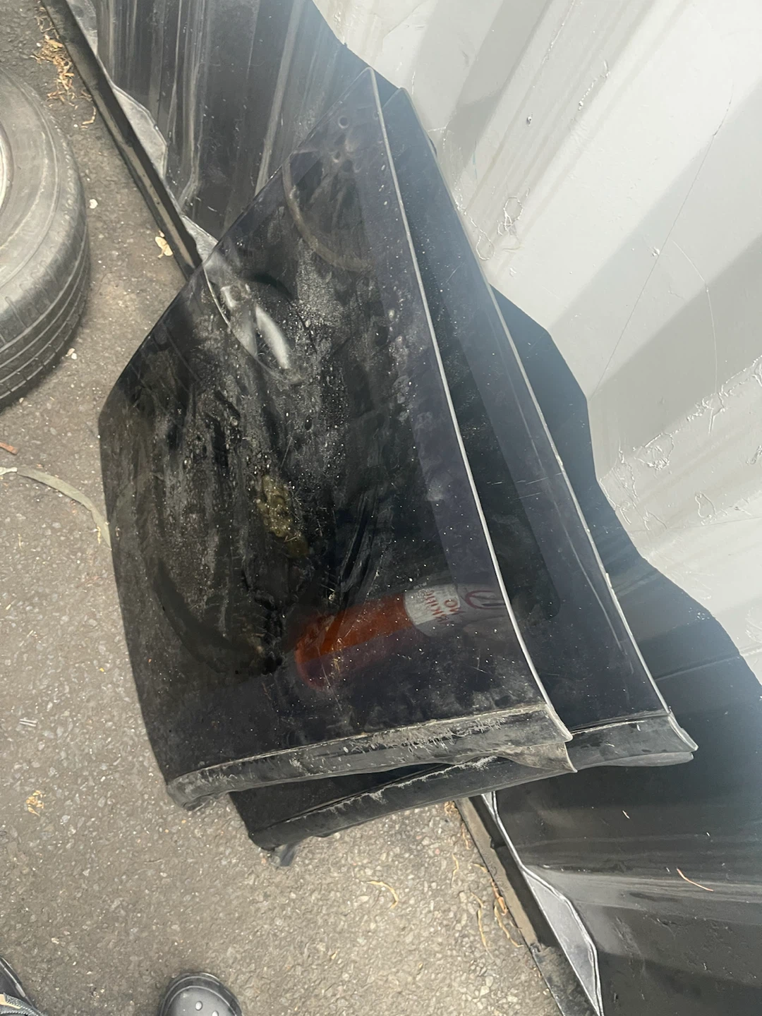 Ford mustang T Top windows