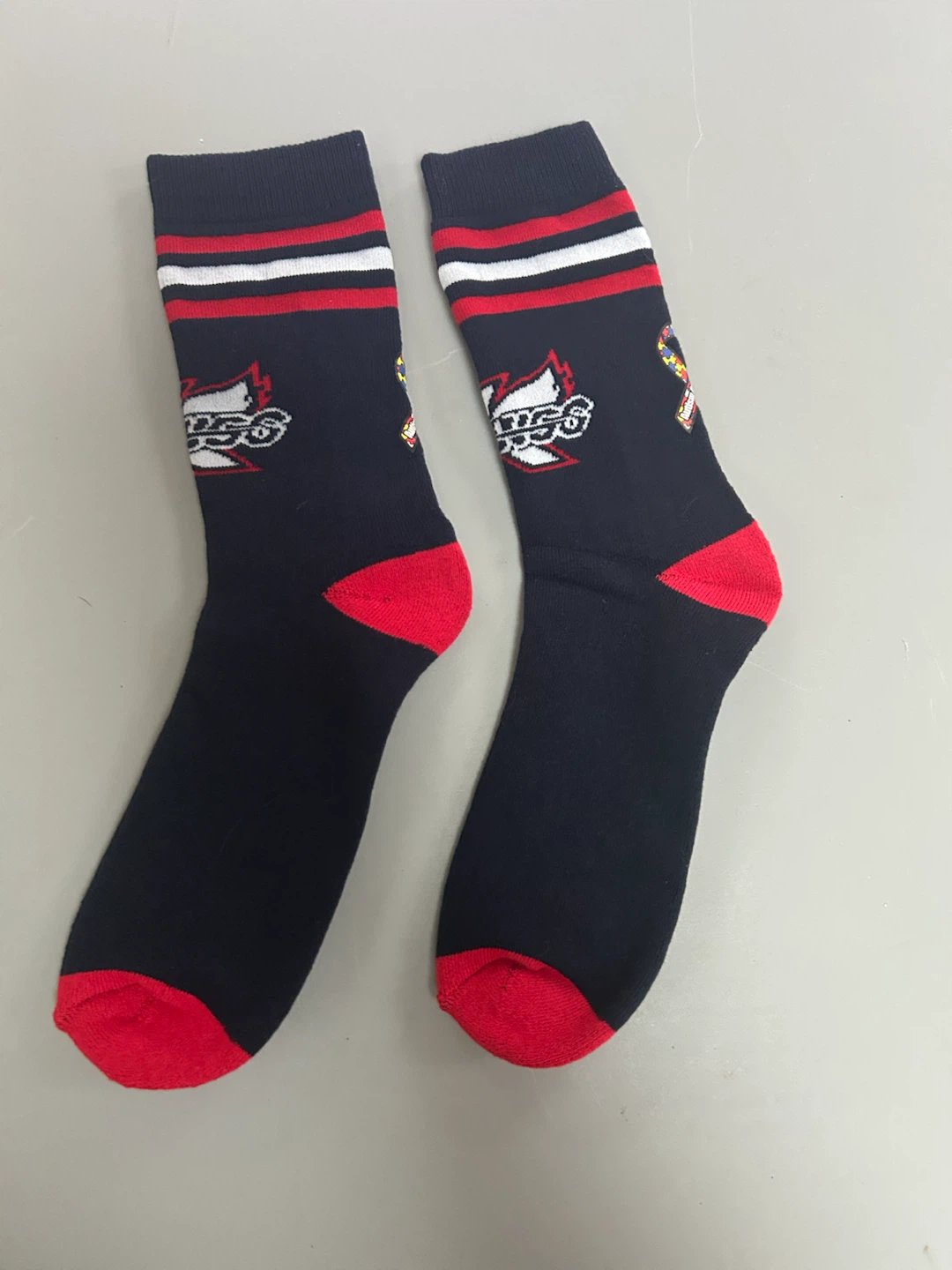 Kalamazoo Wings, Autism Awareness giveaway