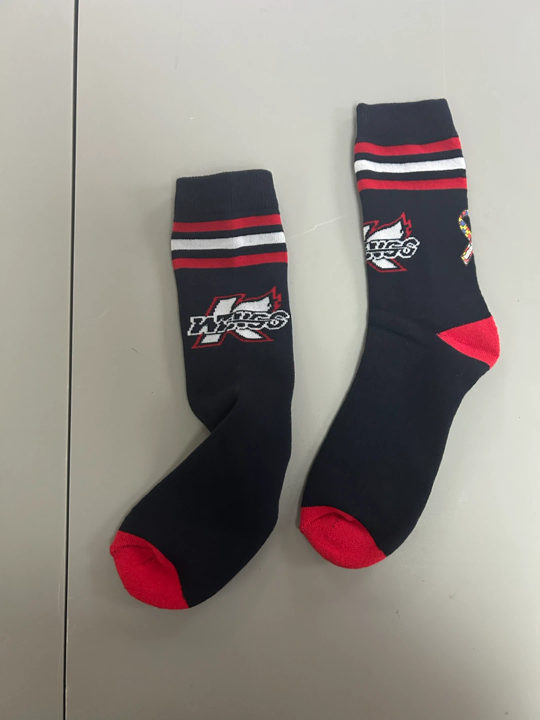 Kalamazoo Wings, Autism Awareness giveaway - photo 2