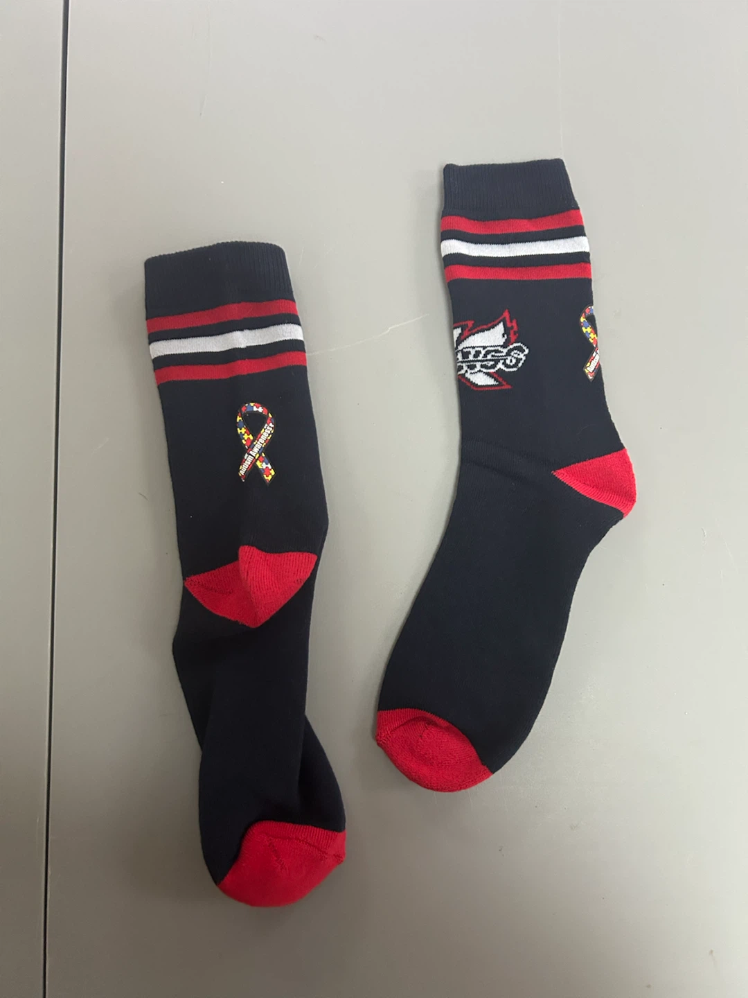 Kalamazoo Wings, Autism Awareness giveaway - photo 3