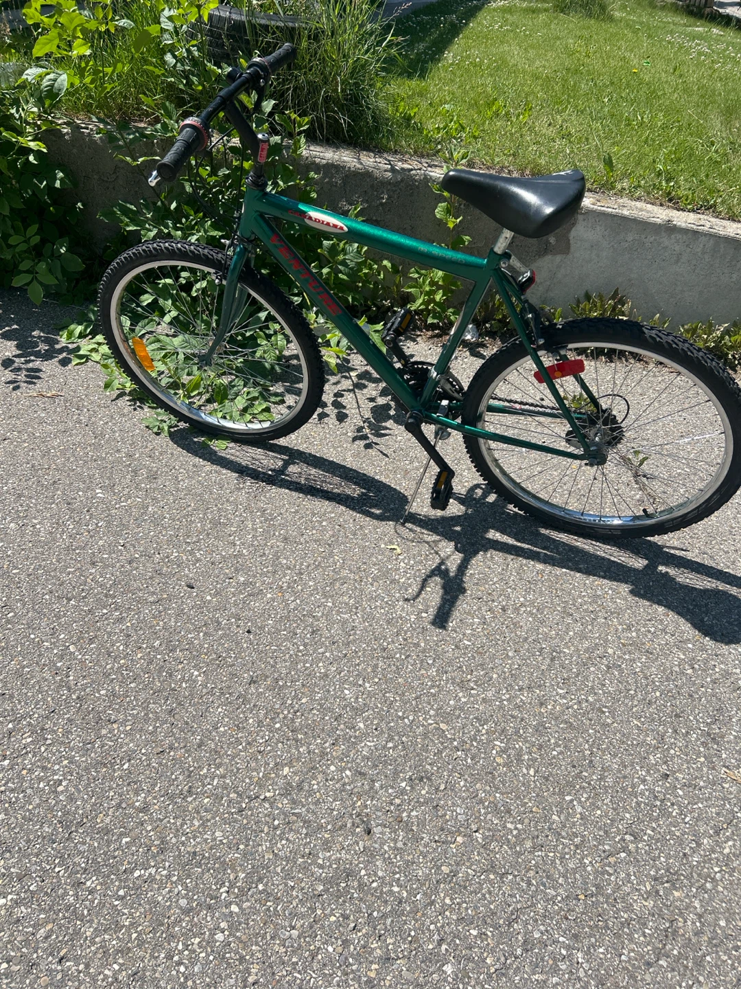 Diana 26" Mountain Bike - Green