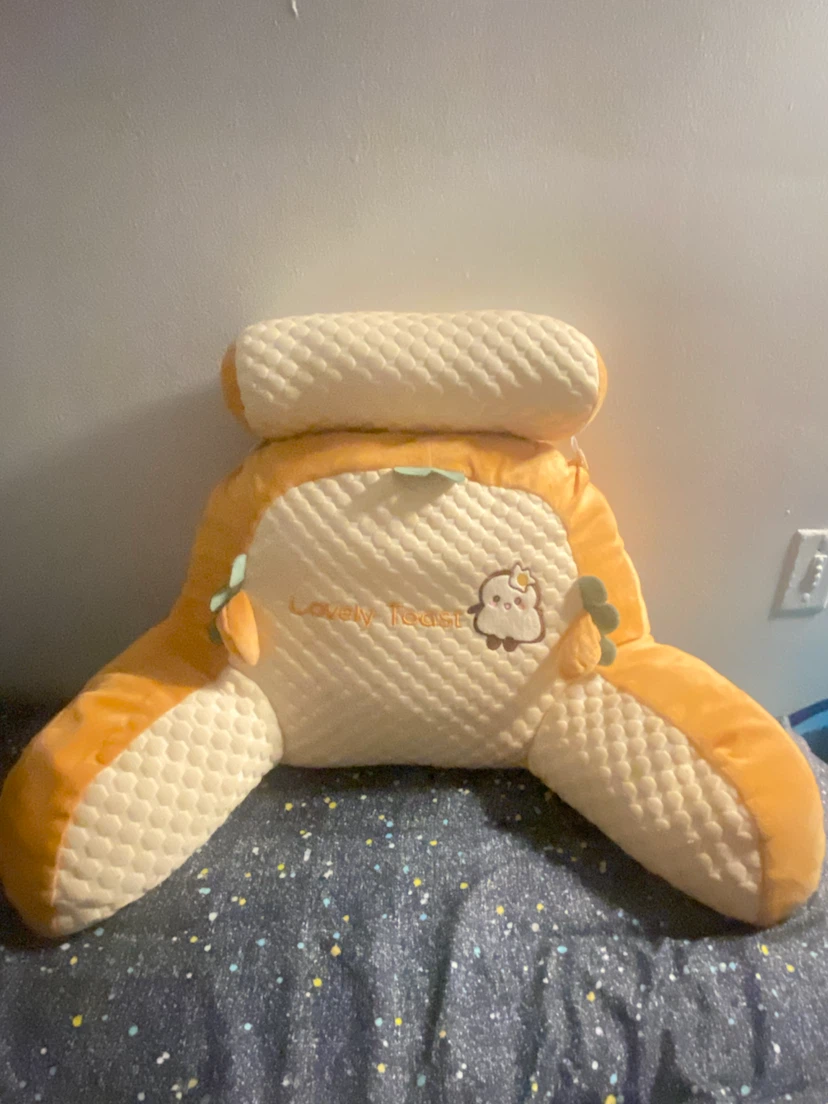 Bed Rest Pillow