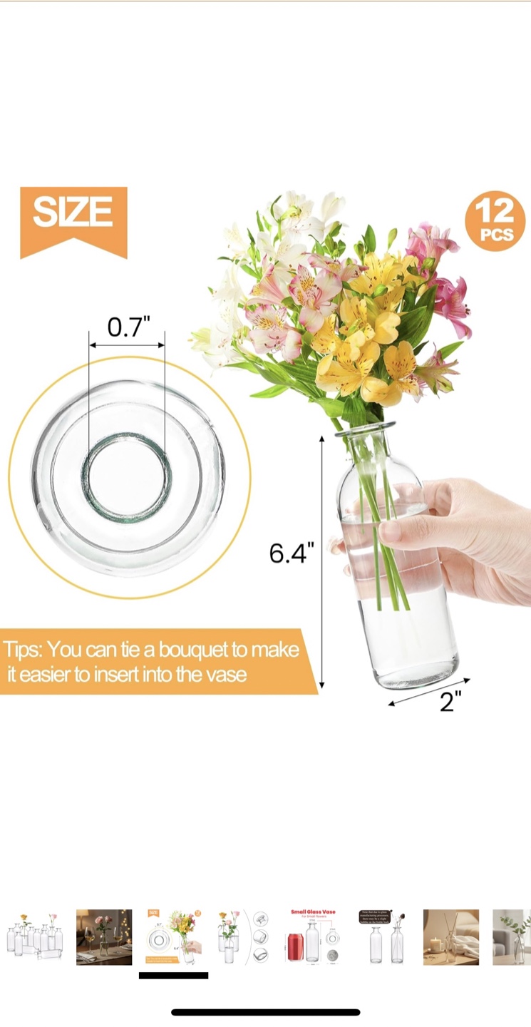 Set of 12 Glass Bud Vases - photo 2