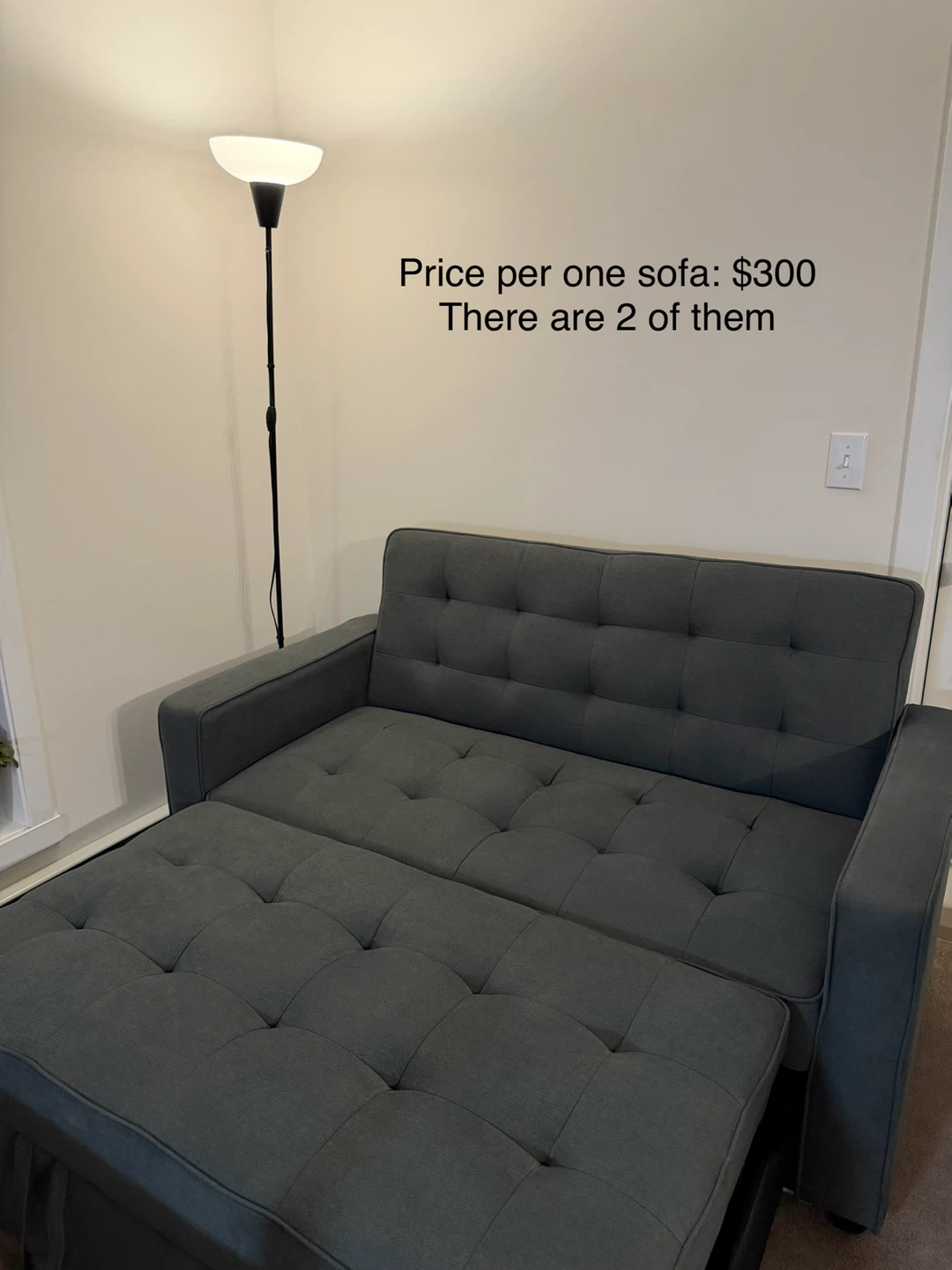 Sofa bed (x2)