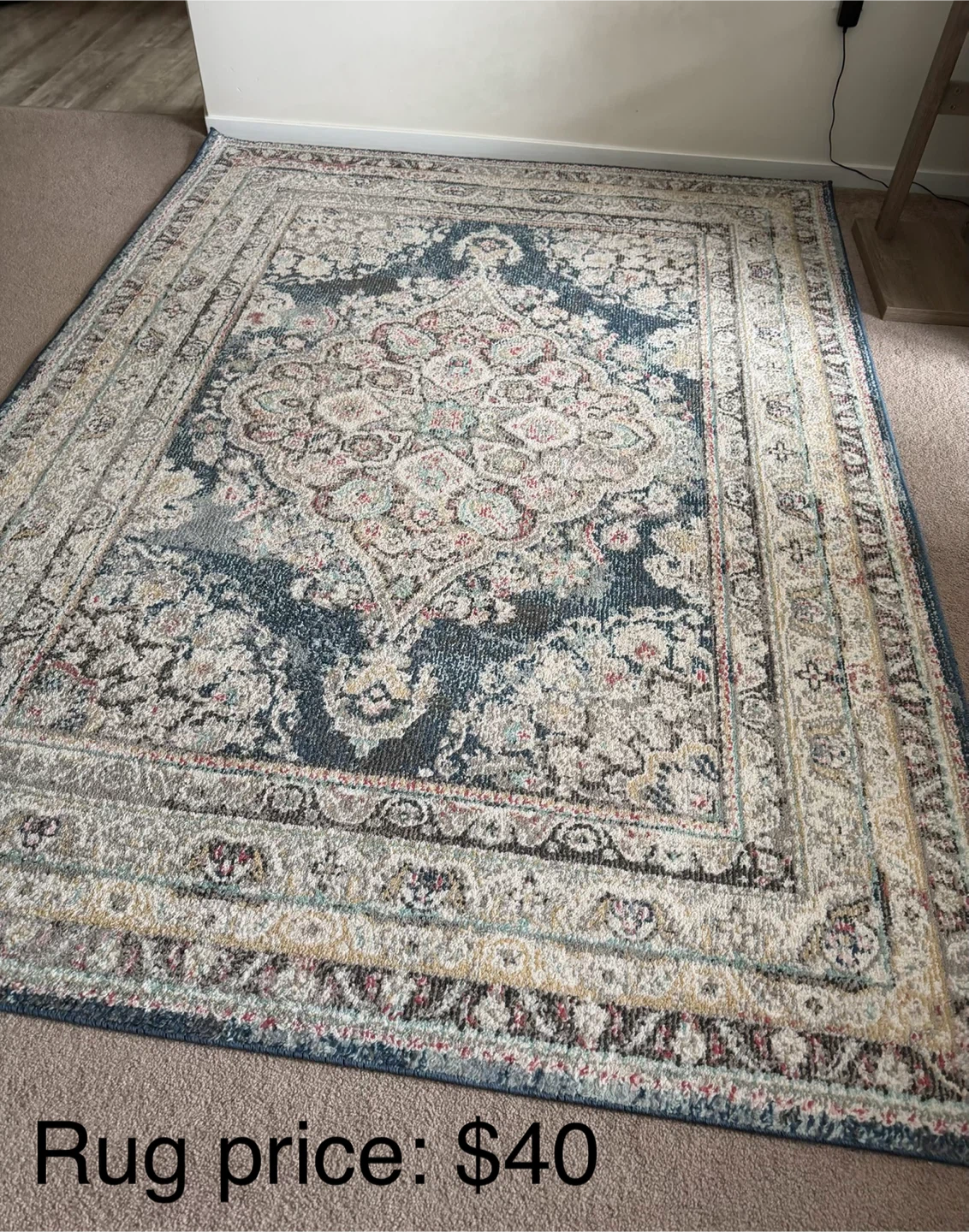 Traditional area rug