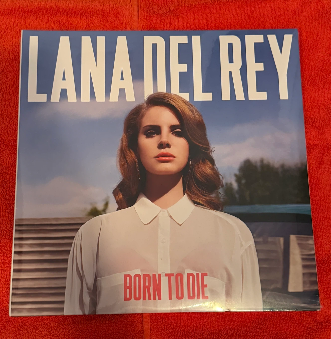 Lana Del Rey Born to Die Vinyl Record
