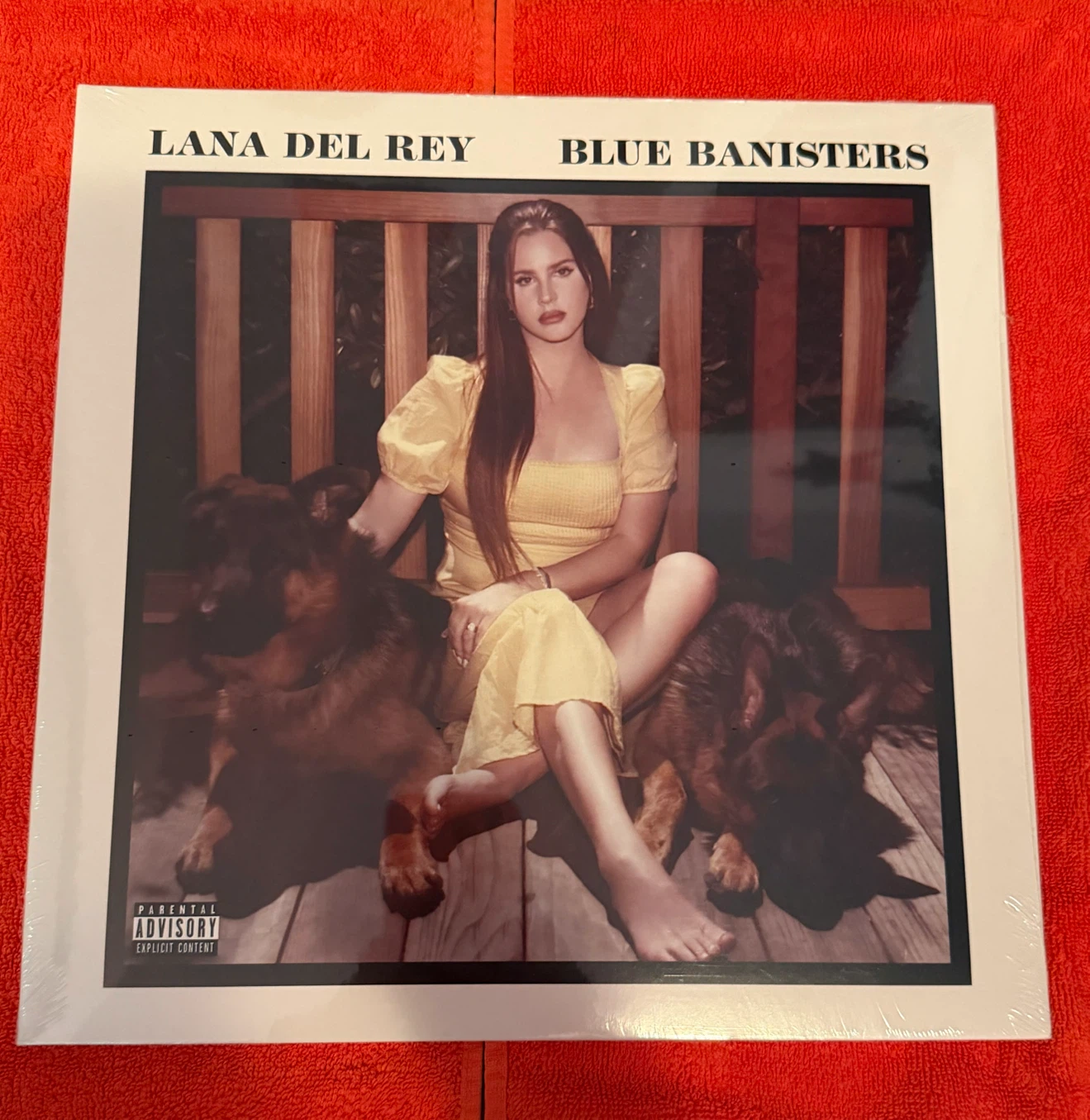 Lana Del Rey Blue Banisters Vinyl Record