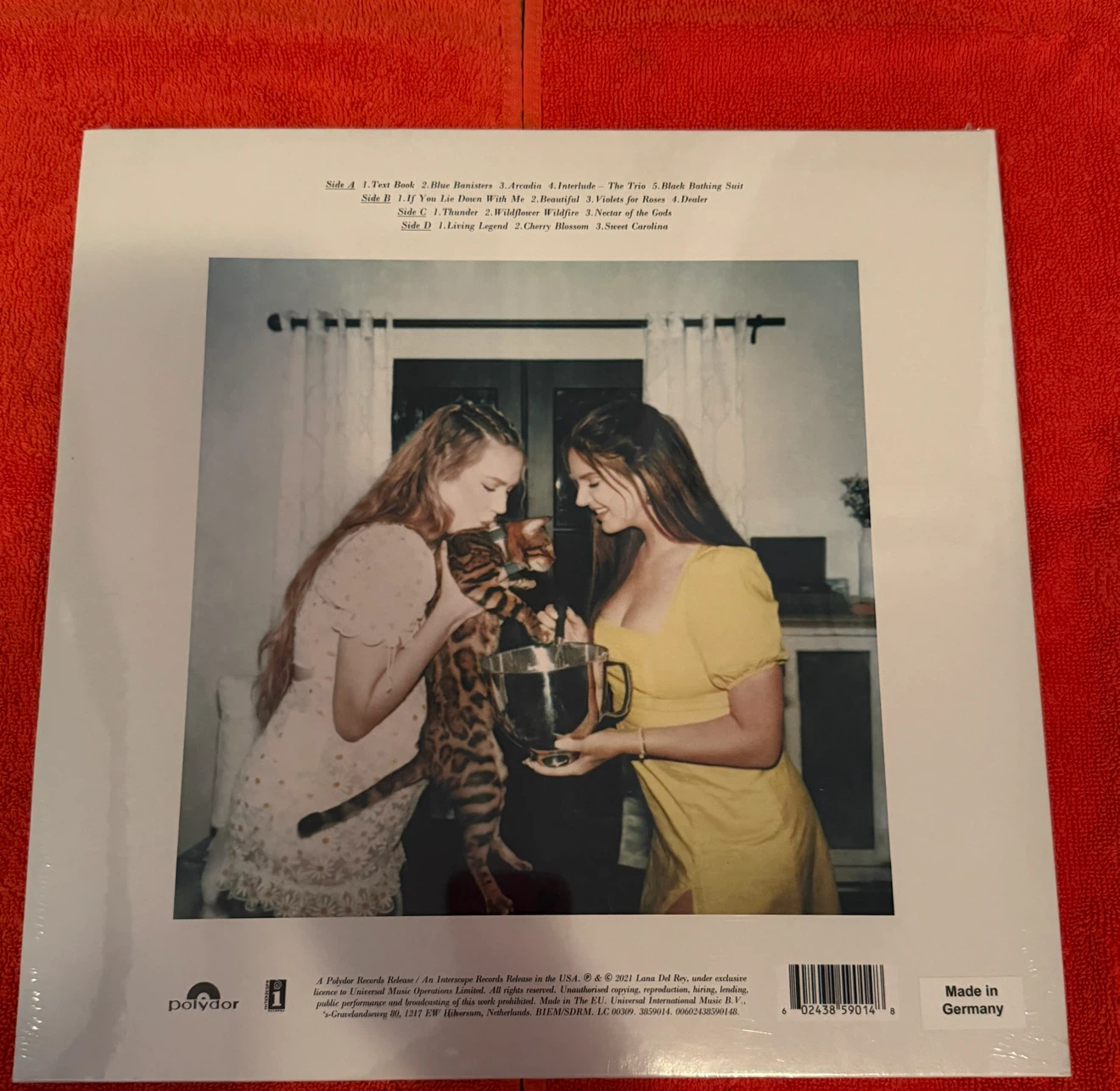 Lana Del Rey Blue Banisters Vinyl Record - photo 2