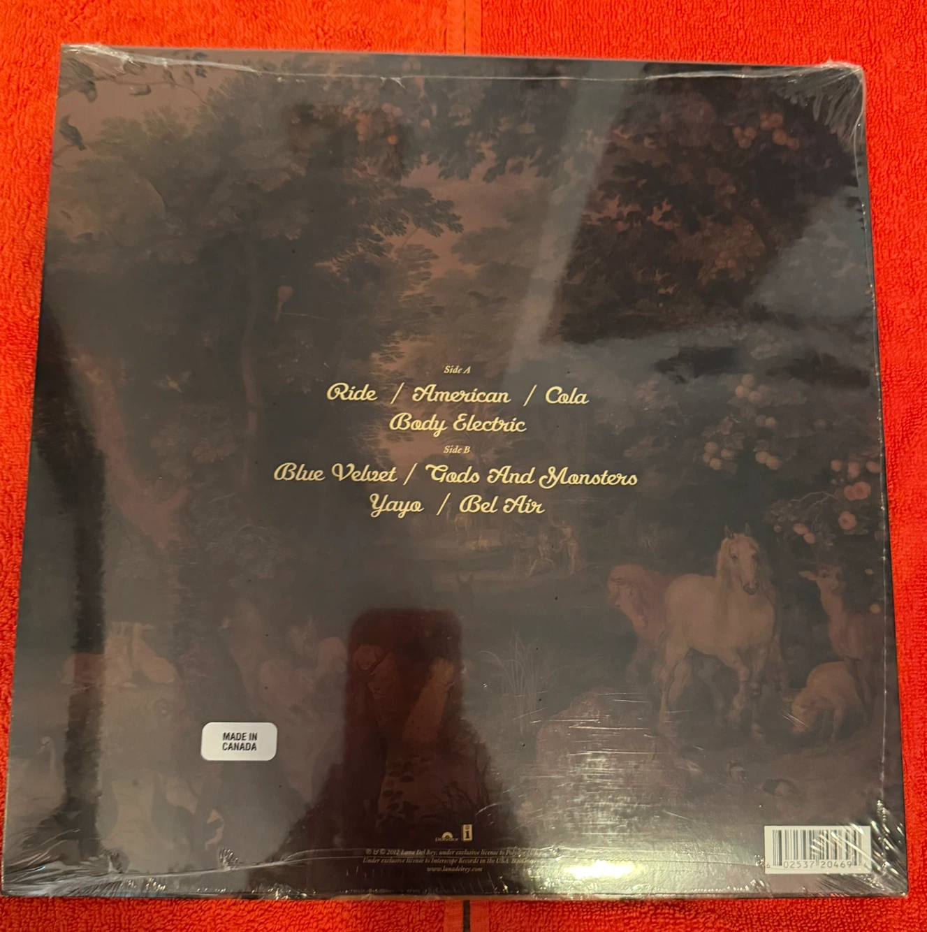 Lana Del Rey Paradise Vinyl Record - photo 2