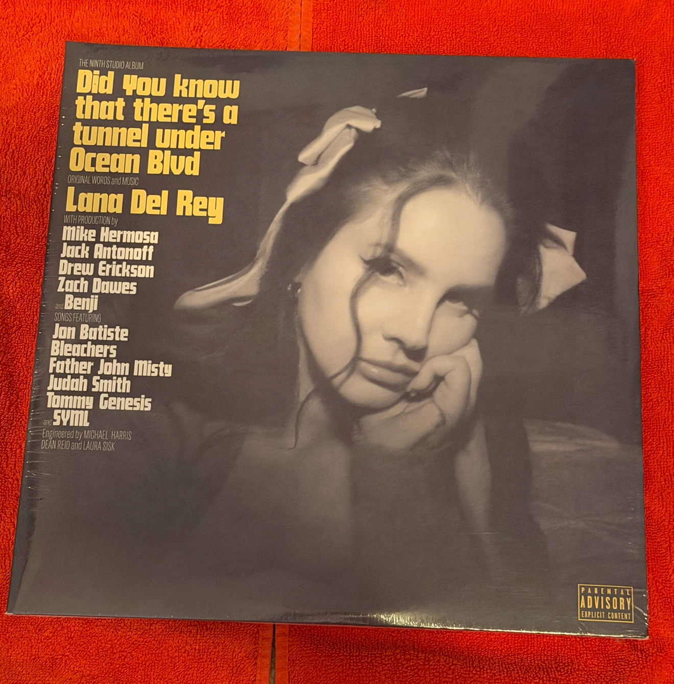 Did You Know That There's a Tunnel Under Ocean Blvd Vinyl Record