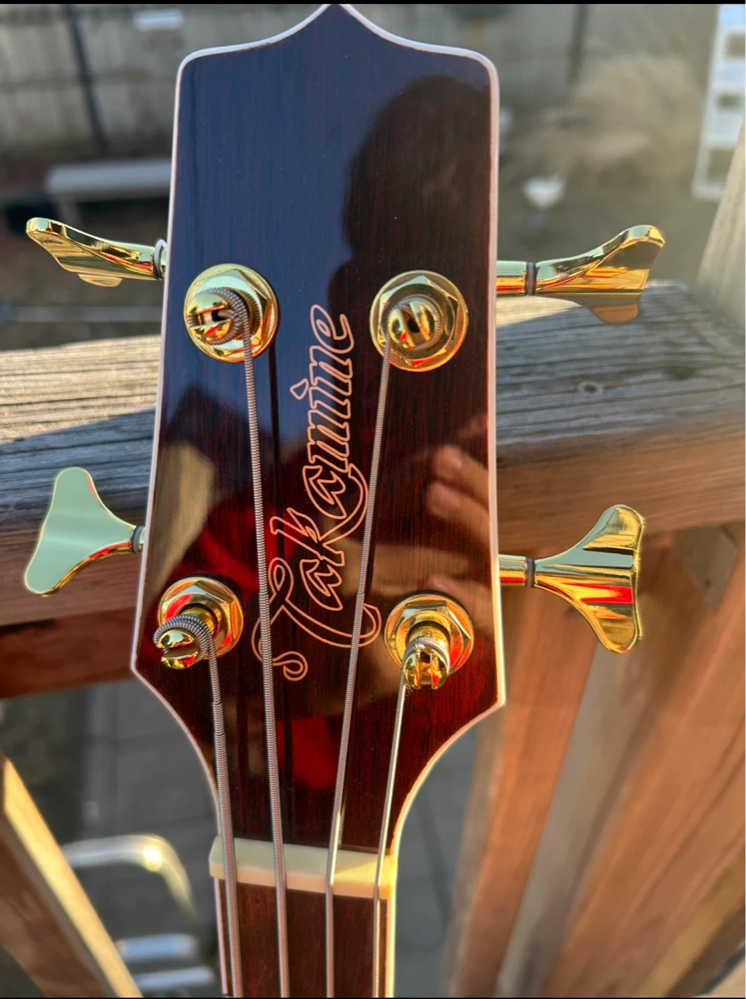 Takamine Acoustic Bass Guitar - photo 2