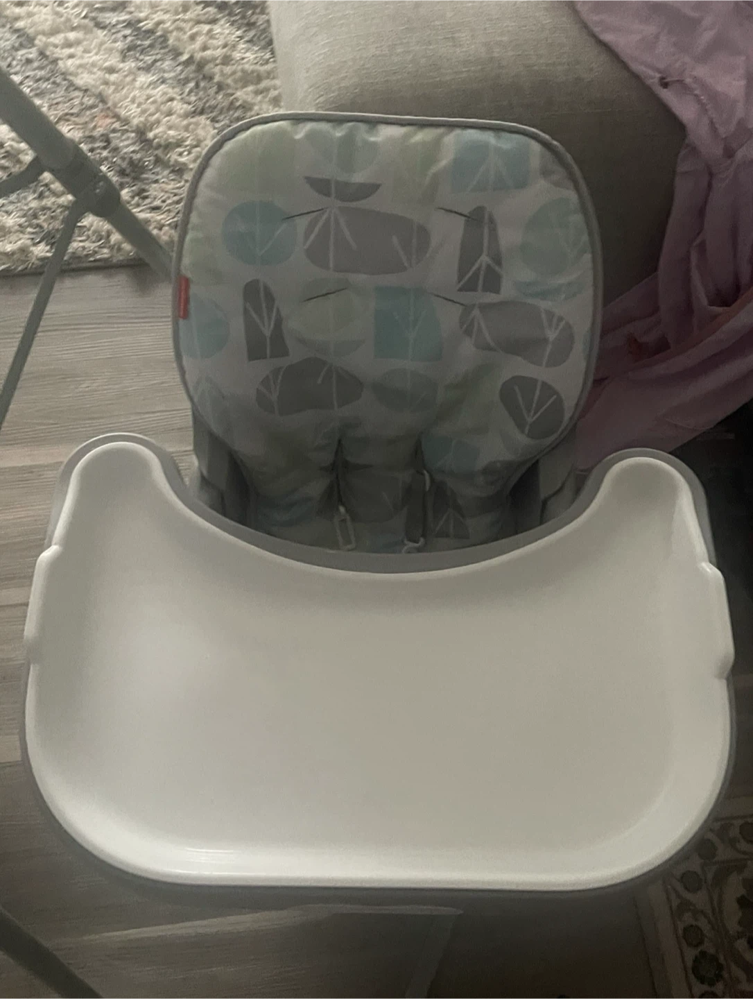 Fisher-Price Booster Seat