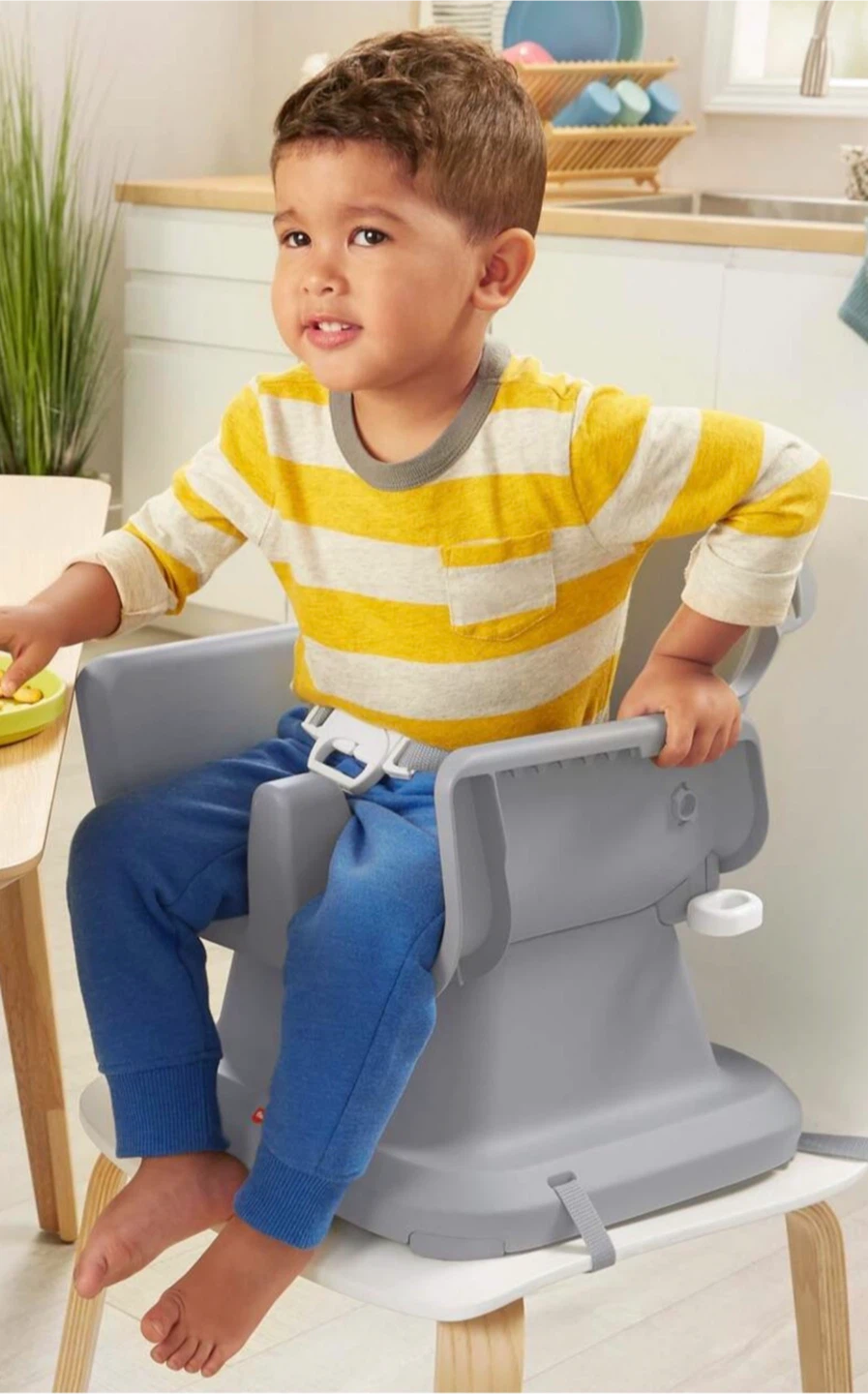 Fisher-Price Booster Seat - photo 4