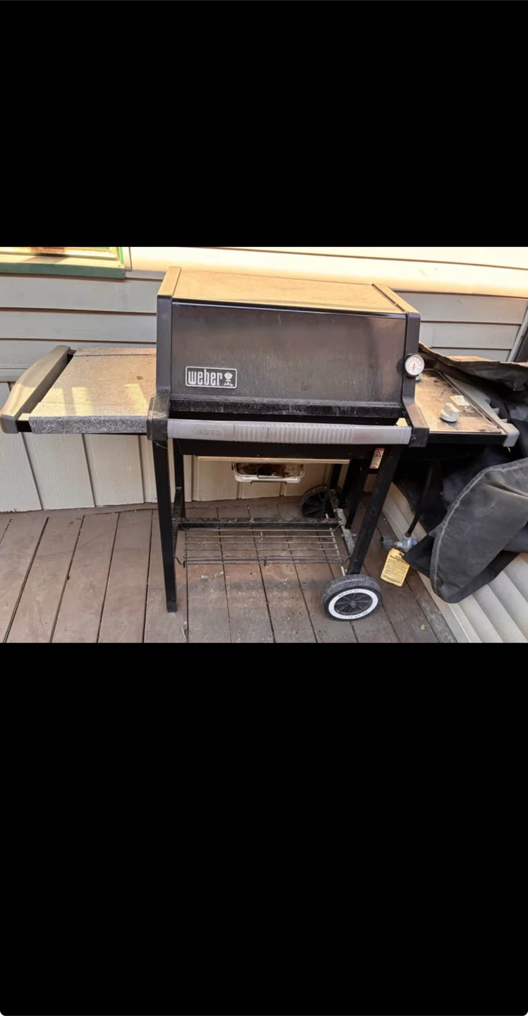 Propane bbq
