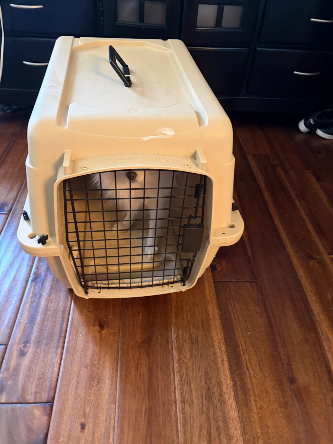 SKIL Pet Carrier Crate - photo 4