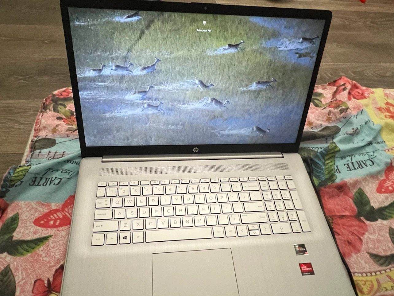 HP Laptop with AMD Ryzen 5