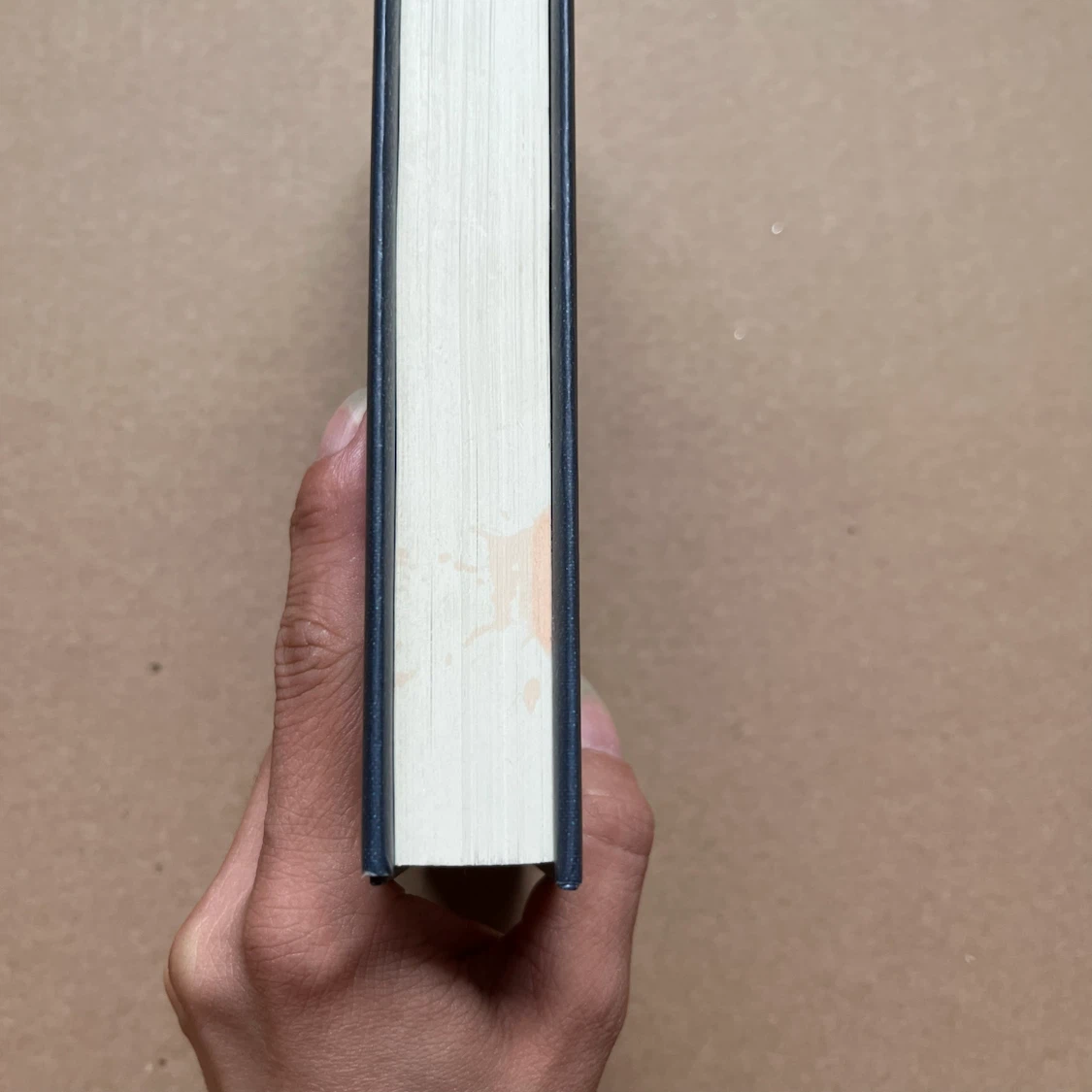 J.K. Rowling Fantastic Beasts: The Original Screenplay Book - photo 3