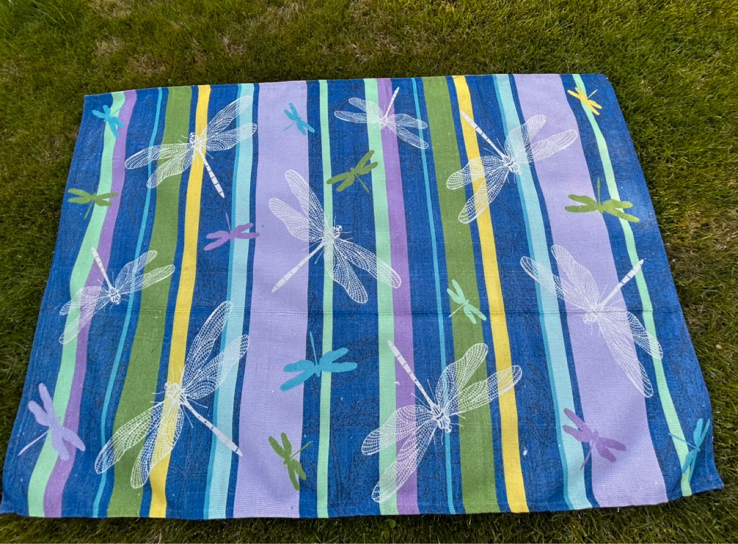 Area rug indoor/outdoor with Dragonflies - photo 5