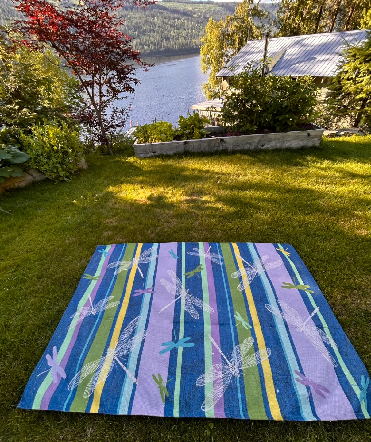 Area rug indoor/outdoor with Dragonflies - photo 4