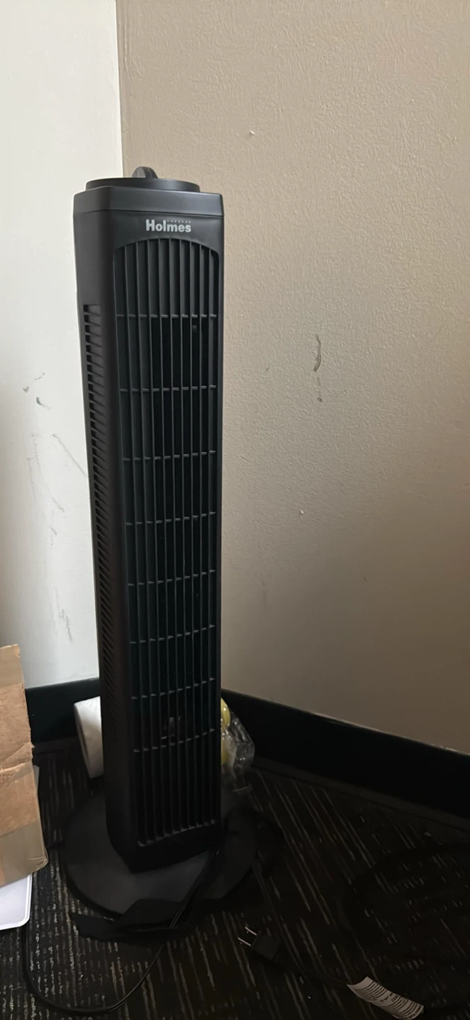 Fan