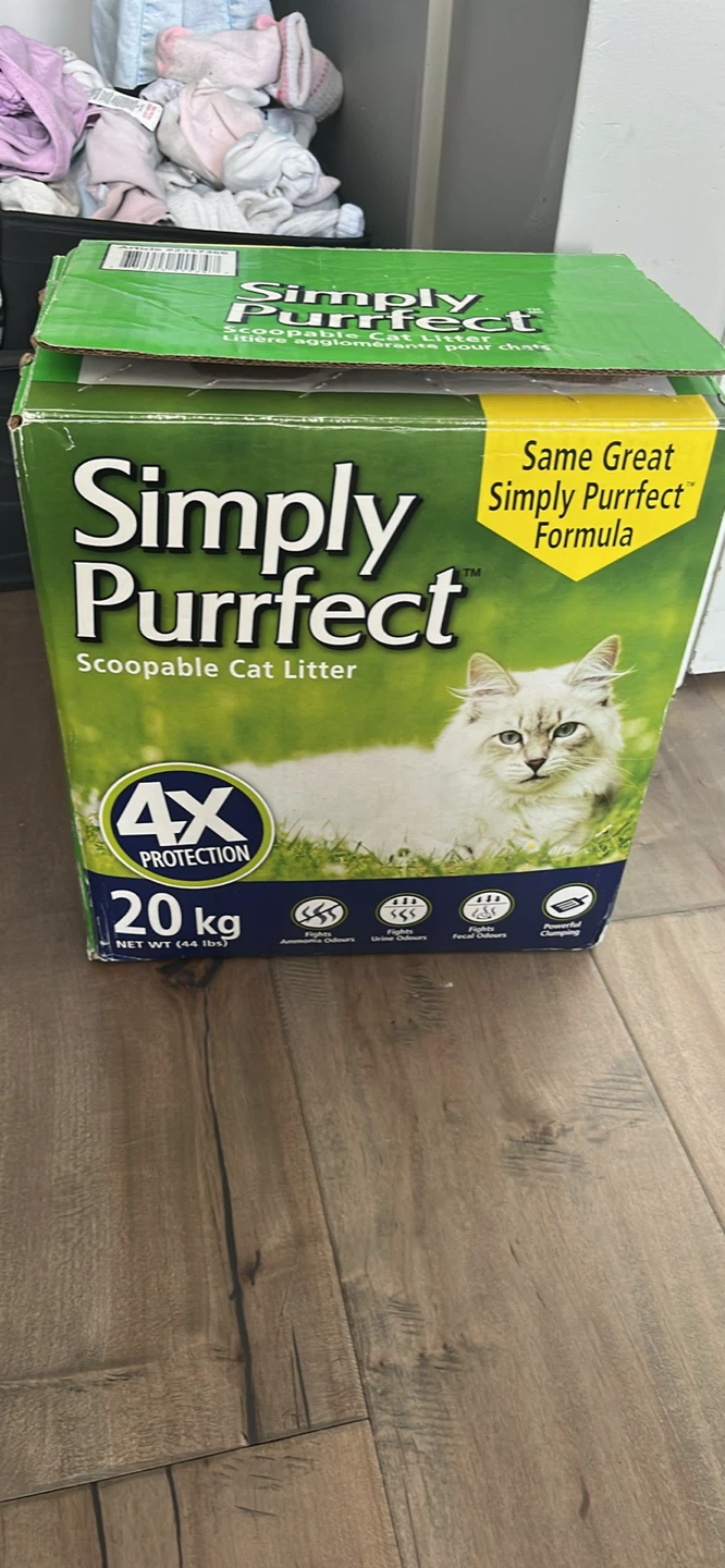 Kitten litter and dry food