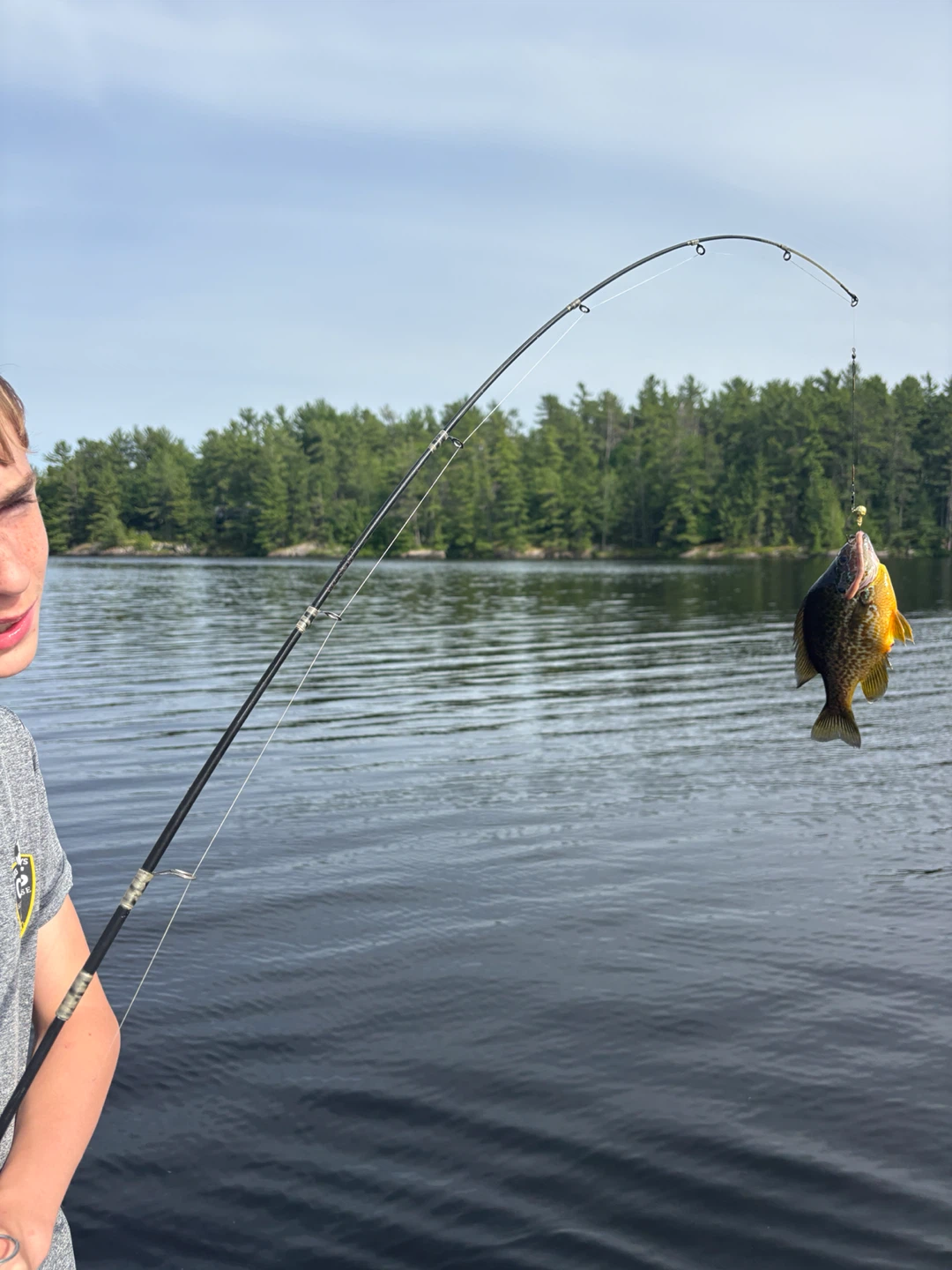 Fishing Rod with Caught Fish - photo 3