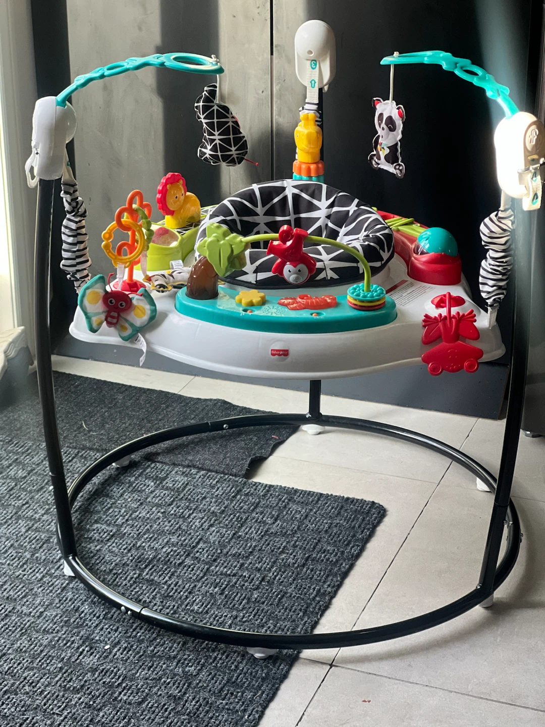 Fisher-Price Animal Wonders Jumperoo - photo 5