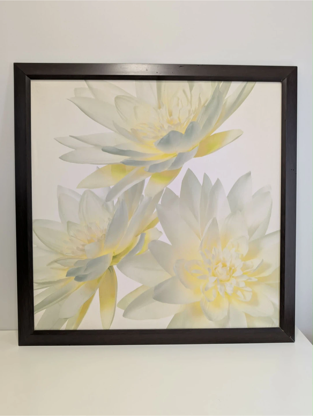 Framed Water Lily Art Print