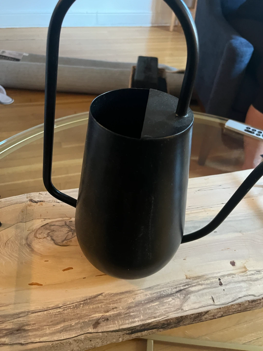 Black Metal Watering Can