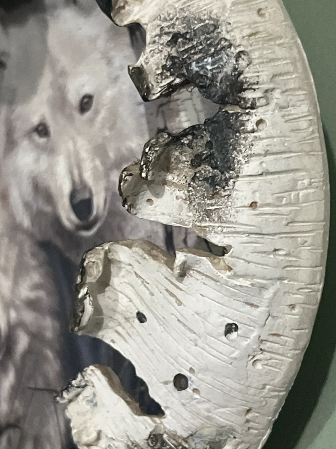 Bradford Exchange "White Magic" Decorative Plate - photo 5