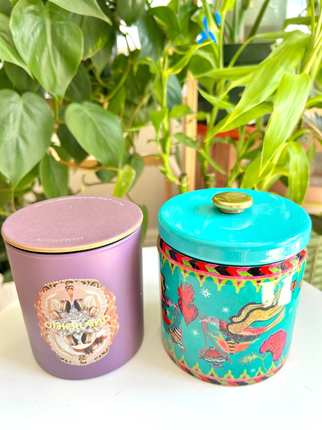 Anthropologie “Fresh Sparkling Citrus & Juniper” Candle 🕯️🍊 - photo 4
