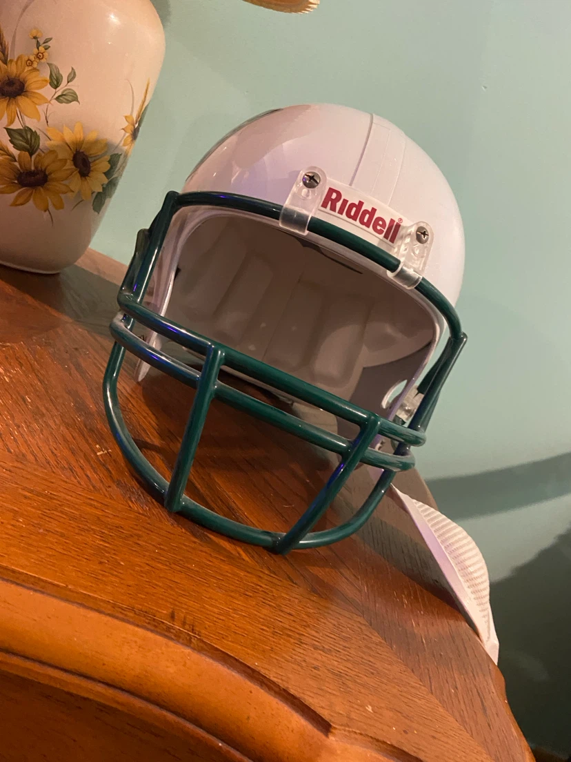 Saskatchewan Roughriders Replica Helmet - photo 2