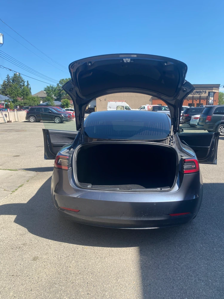 2020 Tesla Model 3 - photo 3